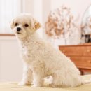 서산동물병원 이미지