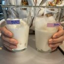 보라2통 | 숙성우유라떼 보리차 옥수수차 맛비교 숙성시간비교 숙성우유레시피