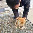 홍천소방서(팔봉119안전센터) 티스토리