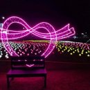 안성조명 이미지