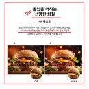 상업용 55 이미지