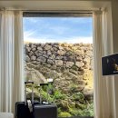 스테이, 토닥 in ulleung | 제주 독채 펜션 _ 유어아일 테라스에 자쿠지가 있는 제주 애월 숙소 (애견동반 숙소)