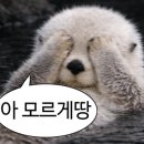 초원베이커리