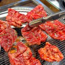 비아축산 네이버블로그