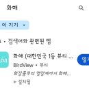 인셀덤샤인 이미지