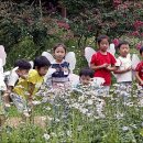 자양어린이공원 이미지