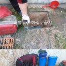 삼호구내식당