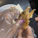 필바든치킨 - 연수구 | 인천 당하동 노가리 맛집 :: 가성비 좋은 필바든치킨 원당점 내돈내산 후기