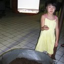 발리에서 생긴 일(1) 이미지