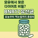 뚱보중국식품 | 모유에서 찾은 다이어트 비밀? BNR17 유산균 효능부터 먹는법까지 총정리
