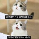 청연플래닛 | 버팀목 중소기업 청년 전세대출 80% 연장 퇴사/중기청 이직 및 증액, 집주인 변동까지