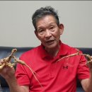 천종농장 이미지