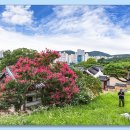 대구 동구 신숭겸 장군 유적지('23. 7. 22.) 이미지