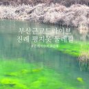 평지못 공중화장실 이미지