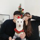 멍멍이PC | AI 챗지피티 챗GPT 인스타 디즈니 감성 일러스트 무료버전 만들기 앱후기[한도 초기화]