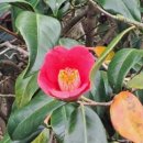 소박한 민박 이미지