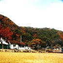 남강캠프 Daum카페