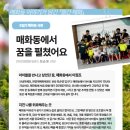 한양대매화태권도 이미지