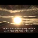 Elizabeth Mitchell - You are my sunshine 이미지