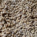 오덕전통된장 이미지