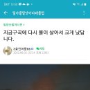 밀양 산불 아직 심각한데 이미지