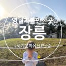 장릉종합관광안내소 | (영월가족여행) 영월 가볼만한곳 추천, 세계문화유산 영월장릉 방문 후기