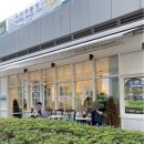 카페 데이먼트