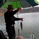 각평낚시터 이미지