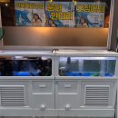 성진카써비스 이미지