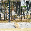 휴대폰으로 찍는 예술 사진 이미지