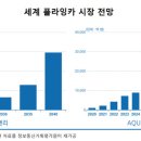 모건카써비스 KBS