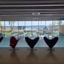 정왕그린스크린골프장 | [플라밍고CC] 충청도 당진 골프장, 4인, 2부 타임 라운드 후기