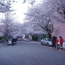 삼익아파트 앞 이미지