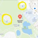 동선목장 | 인천 남동구 양떼목장 늘솔길공원 아이와 주말에 갈만한 곳 주소 주차 후기 추천 동선 총정리