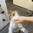 로브디자인살롱 | 창동 로브디자인살롱 :: 미용실 유목민이던 내가 정착한 미용실