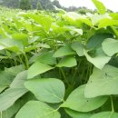 풍성농장 이미지