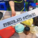 재방문한 경남 양산 원동 미나리삼겹살 6번집 원동미나리농원
