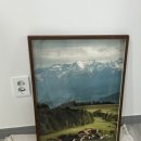 스테이 모인 이미지