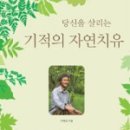 참조자연치유 이미지
