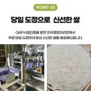 농업할인마트 | 텃밭할매 맛있는쌀 추천 신동진쌀 30% 할인중
