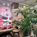 남대문 안경마을 이미지