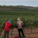 만리농장 이미지