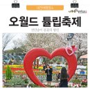 튤립축제 이미지