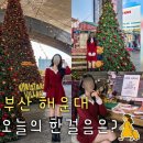 푸바오애견 | 부산 영화의전당 산타마을 2025 후기 위치 주차 입장료 패스트트랙 시간 애견동반