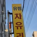 유림자동차유리