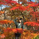 그루텍 | [등산 일기]가을 대둔산 단풍 산행 코스 용문골 등산 수락폭포 하산 - 부산 오지트레킹 안내 산악회