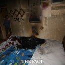 가흥동영주소방서 이미지