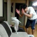 삼청동샤브 - 성남시 분당구 성남대로 165 | 삼청동샤브