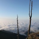 6월23일(목)전북 남원,시원하게 펼쳐진 지리산 능선길과 피로를 풀어주는 뱀사골 하산 이미지