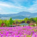 지리산허브벨리 이미지